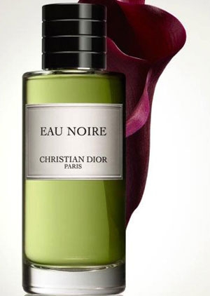 аромат Eau Noire Christian Dior для мужчин и женщин